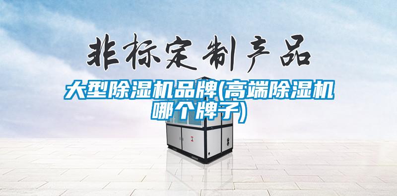 大型除濕機(jī)品牌(高端除濕機(jī)哪個(gè)牌子)