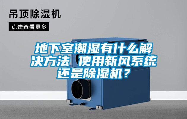 地下室潮濕有什么解決方法 使用新風(fēng)系統(tǒng)還是除濕機(jī)？