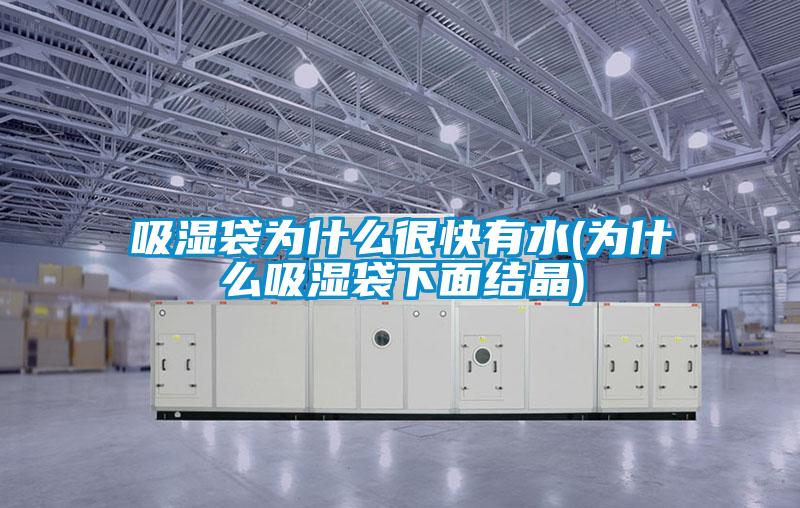 吸濕袋為什么很快有水(為什么吸濕袋下面結晶)