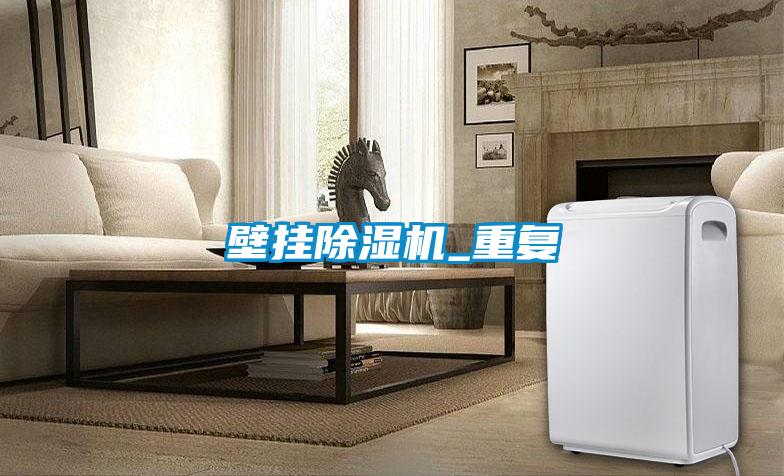 壁掛除濕機(jī)_重復(fù)