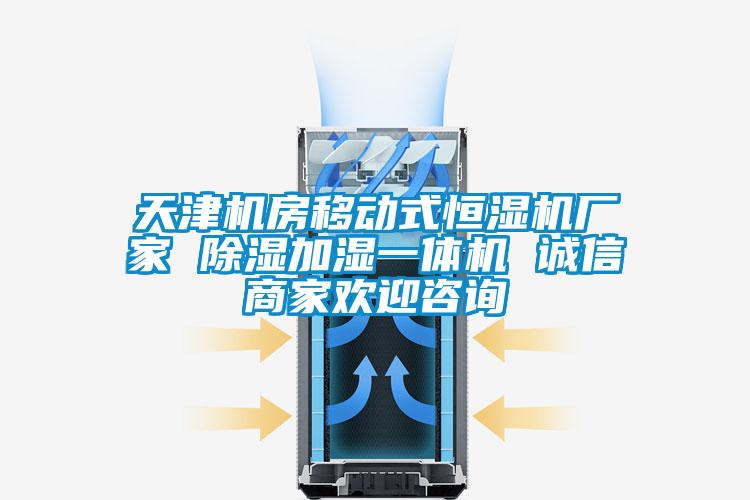 天津機房移動式恒濕機廠家 除濕加濕一體機 誠信商家歡迎咨詢