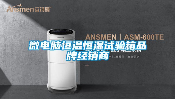 微電腦恒溫恒濕試驗箱品牌經(jīng)銷商