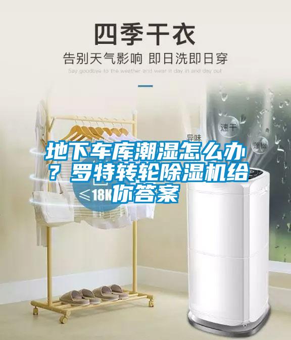 地下車庫潮濕怎么辦？羅特轉(zhuǎn)輪除濕機給你答案