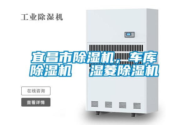 宜昌市除濕機(jī)，車庫除濕機(jī)  濕菱除濕機(jī)