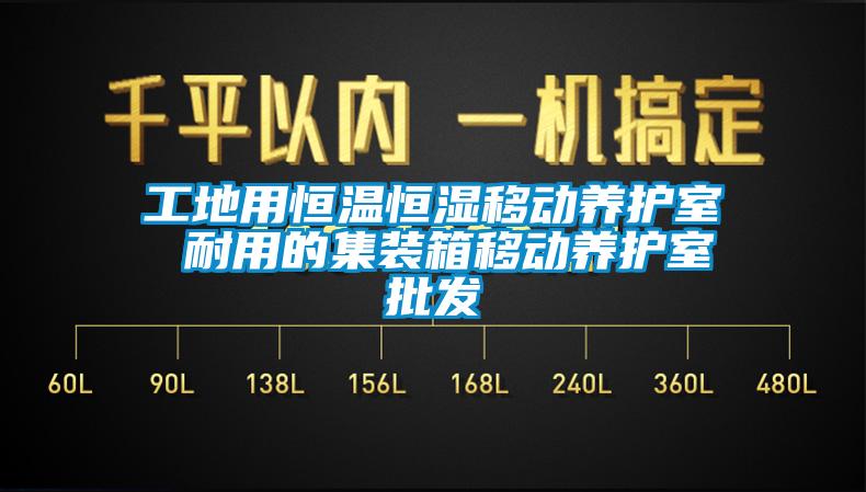工地用恒溫恒濕移動(dòng)養(yǎng)護(hù)室 耐用的集裝箱移動(dòng)養(yǎng)護(hù)室批發(fā)
