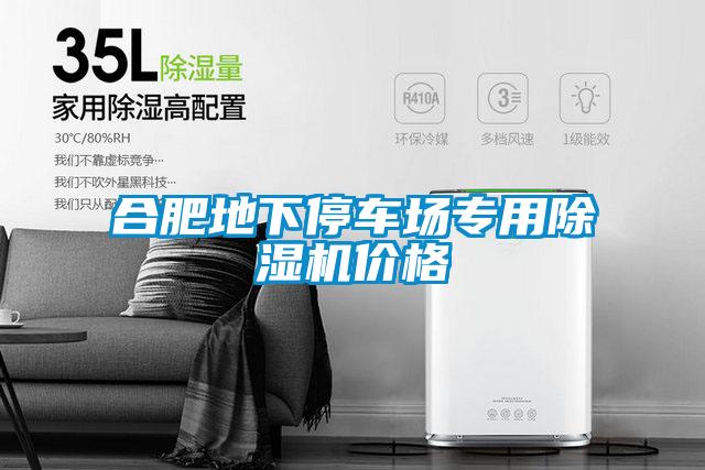 合肥地下停車場(chǎng)專用除濕機(jī)價(jià)格