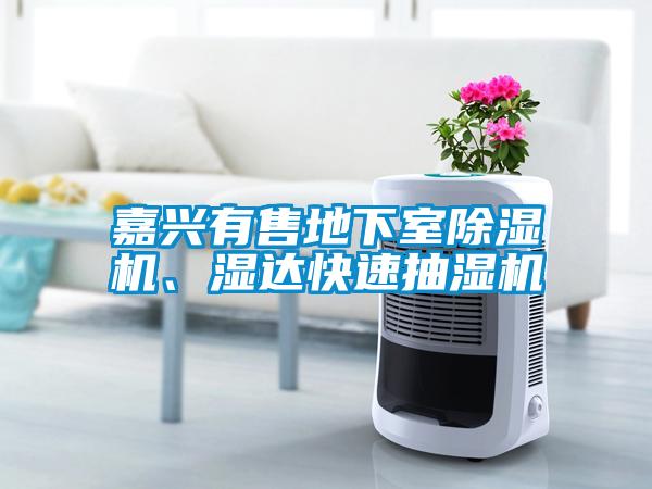 嘉興有售地下室除濕機、濕達快速抽濕機