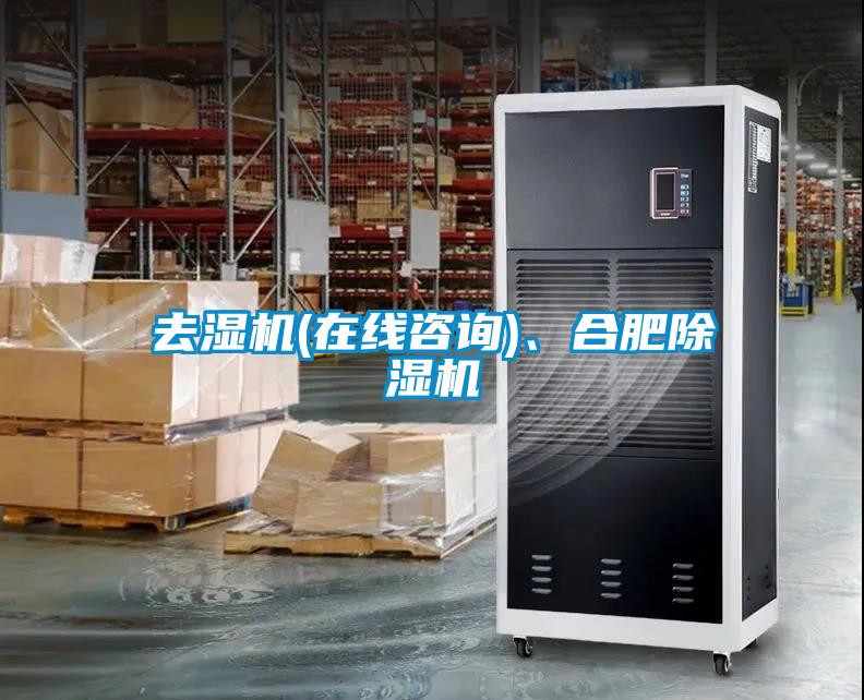 去濕機(在線咨詢)、合肥除濕機