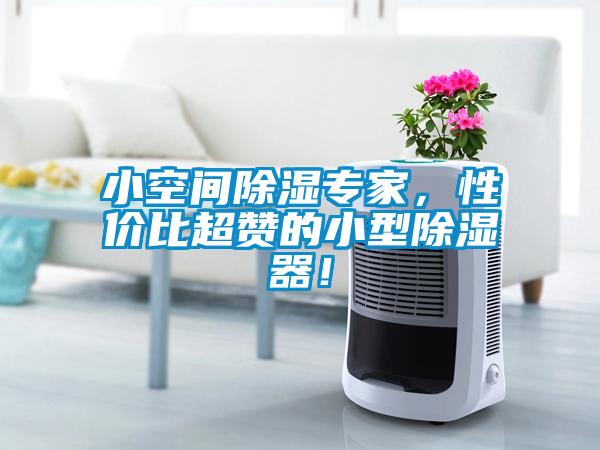 小空間除濕專家，性價比超贊的小型除濕器！