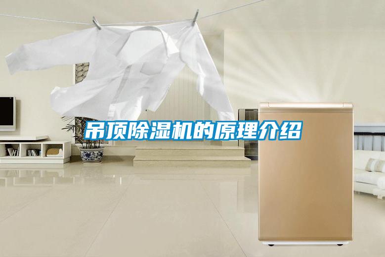 吊頂除濕機(jī)的原理介紹