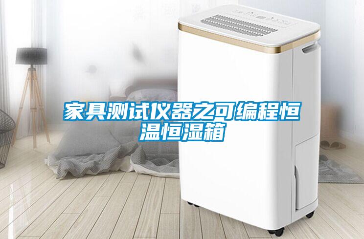 家具測(cè)試儀器之可編程恒溫恒濕箱