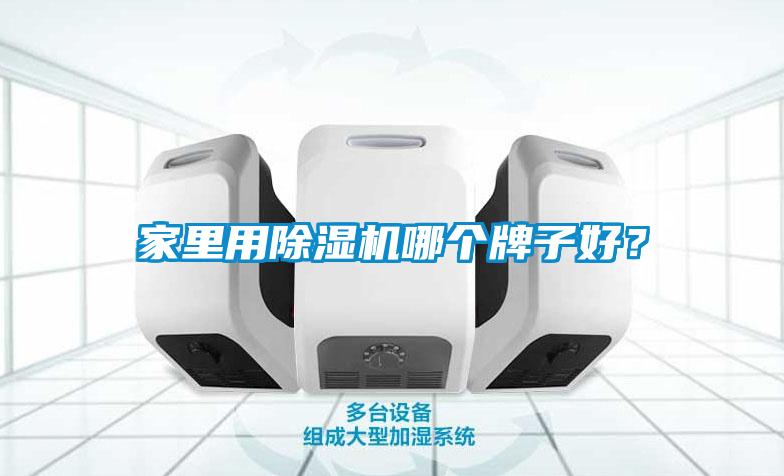家里用除濕機(jī)哪個(gè)牌子好？