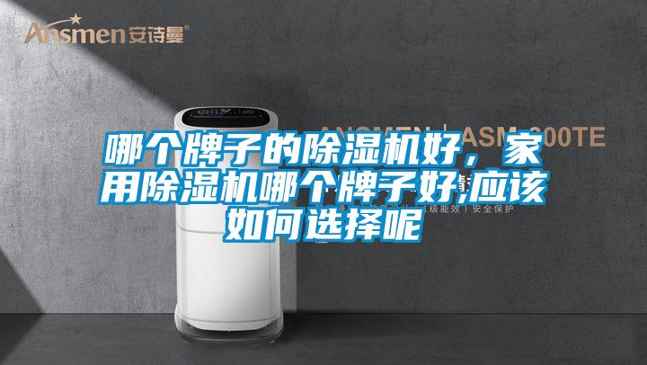 哪個牌子的除濕機好，家用除濕機哪個牌子好,應該如何選擇呢