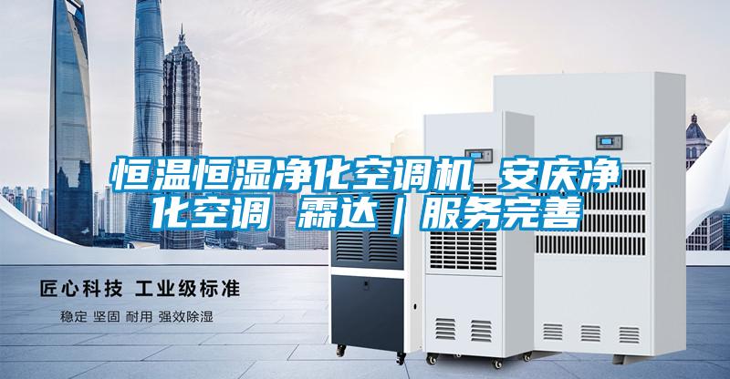 恒溫恒濕凈化空調(diào)機 安慶凈化空調(diào) 霖達｜服務完善