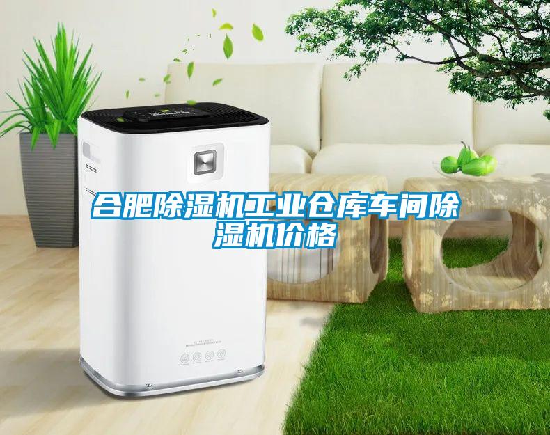 合肥除濕機(jī)工業(yè)倉(cāng)庫(kù)車間除濕機(jī)價(jià)格