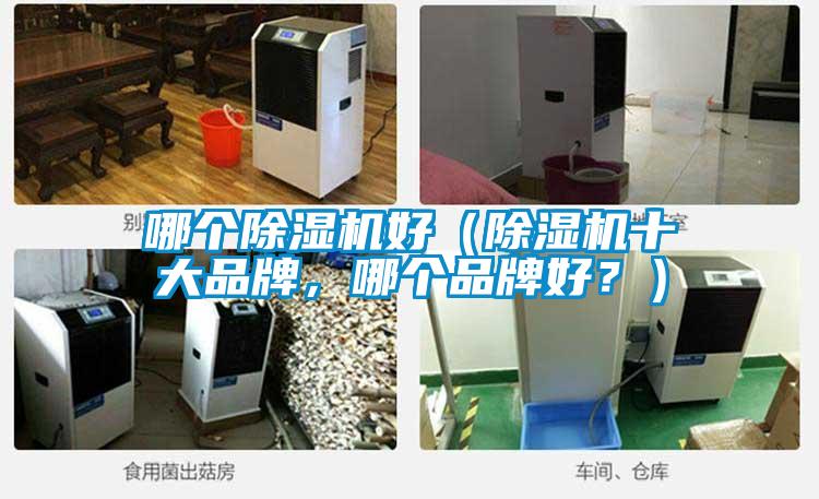 哪個除濕機好（除濕機十大品牌，哪個品牌好？）