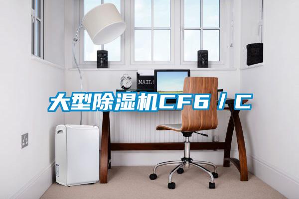 大型除濕機(jī)CF6／C