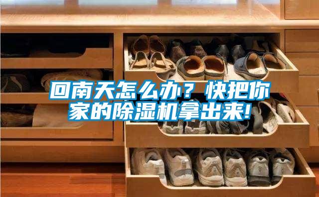 回南天怎么辦？快把你家的除濕機拿出來!