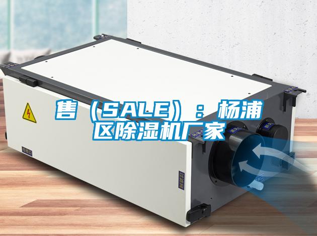 售（SALE）：楊浦區除濕機廠家