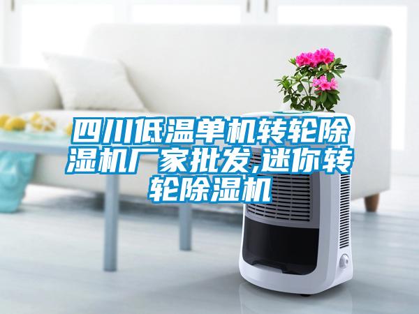 四川低溫單機轉(zhuǎn)輪除濕機廠家批發(fā),迷你轉(zhuǎn)輪除濕機