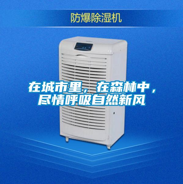 在城市里，在森林中，盡情呼吸自然新風(fēng)