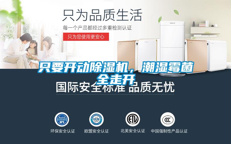 只要開動除濕機，潮濕霉菌全走開