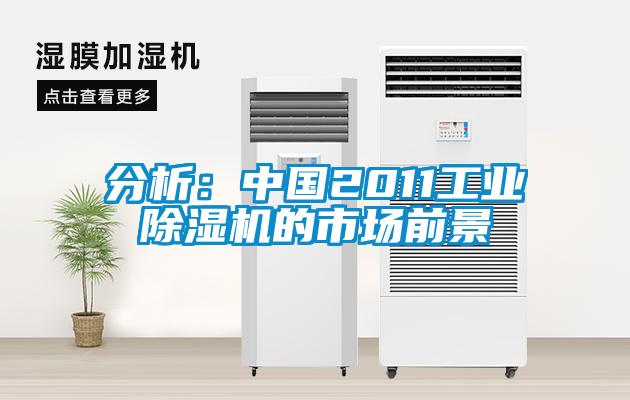 分析：中國2011工業除濕機的市場前景