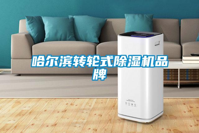 哈爾濱轉(zhuǎn)輪式除濕機(jī)品牌