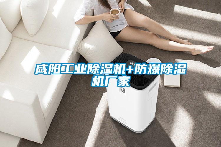 咸陽工業(yè)除濕機+防爆除濕機廠家