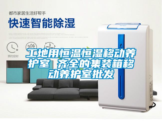 工地用恒溫恒濕移動養護室 齊全的集裝箱移動養護室批發