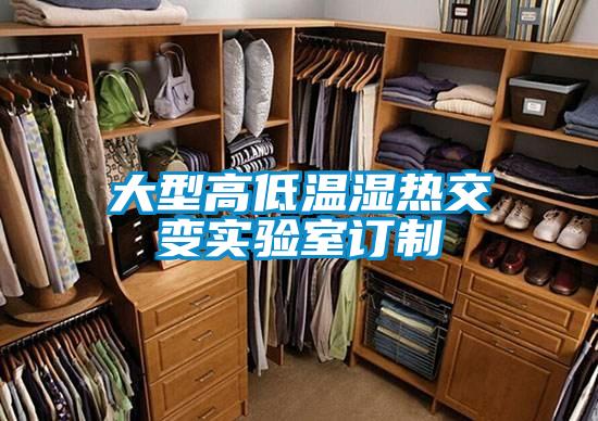 大型高低溫濕熱交變實(shí)驗(yàn)室訂制