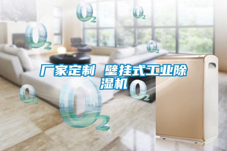 廠家定制 壁掛式工業除濕機