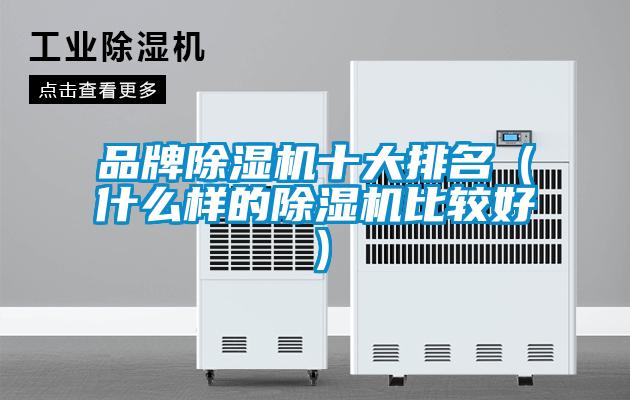 品牌除濕機(jī)十大排名（什么樣的除濕機(jī)比較好）