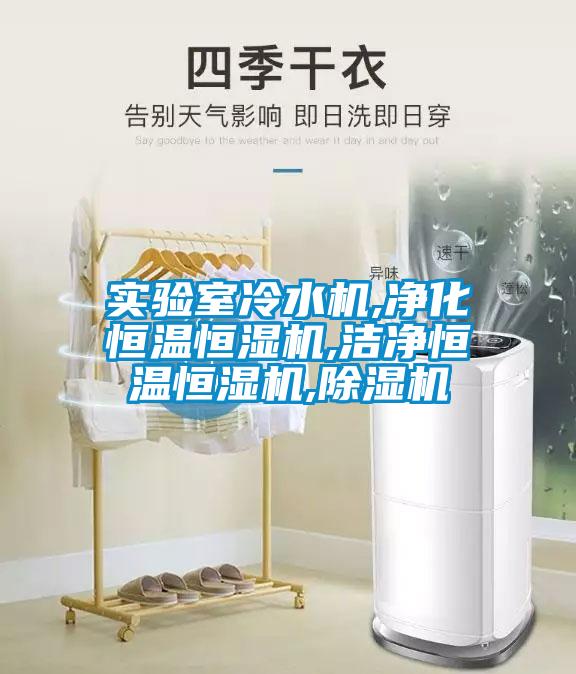 實(shí)驗(yàn)室冷水機(jī),凈化恒溫恒濕機(jī),潔凈恒溫恒濕機(jī),除濕機(jī)