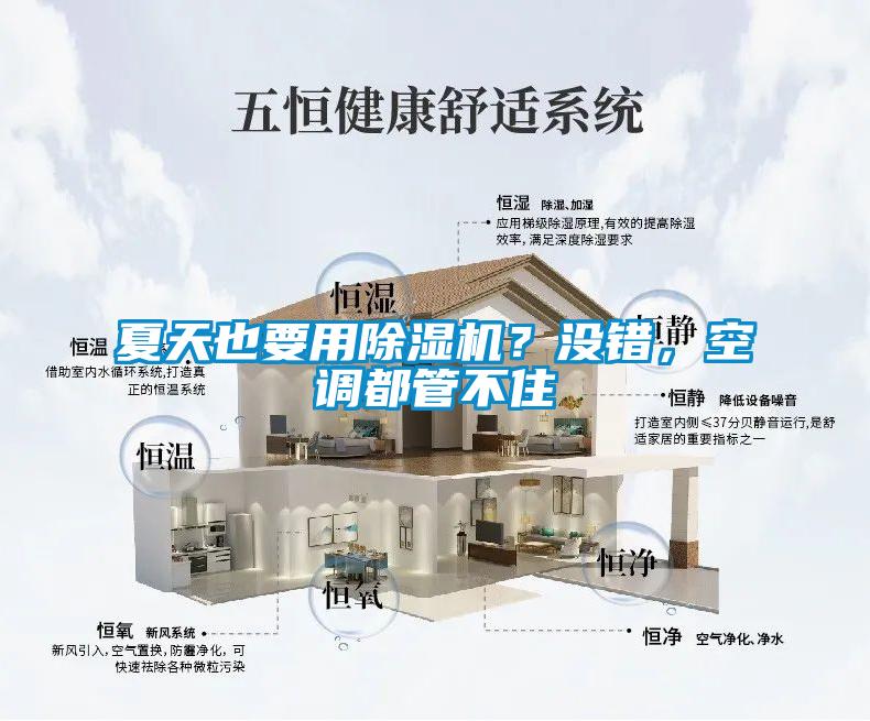 夏天也要用除濕機？沒錯，空調都管不住