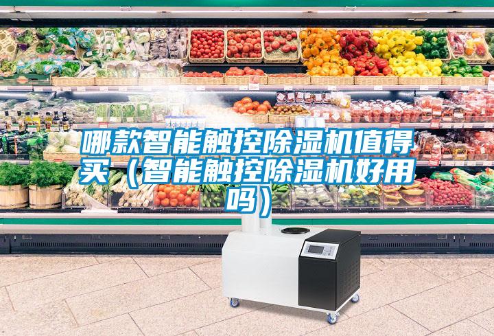 哪款智能觸控除濕機值得買（智能觸控除濕機好用嗎）