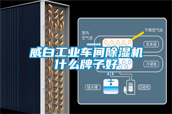 威白工業車間除濕機什么牌子好