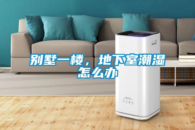 別墅一樓，地下室潮濕怎么辦
