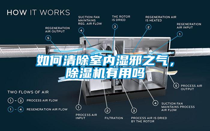 如何清除室內濕邪之氣，除濕機有用嗎