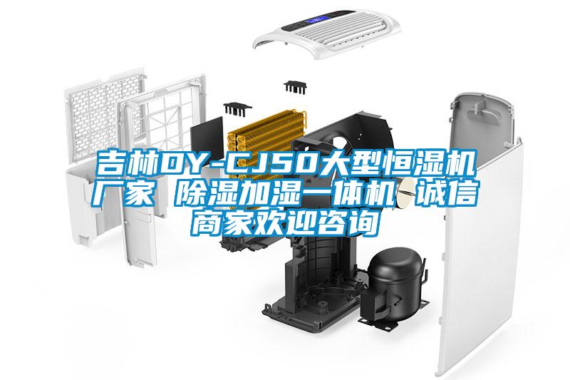 吉林DY-CJ50大型恒濕機(jī)廠家 除濕加濕一體機(jī) 誠(chéng)信商家歡迎咨詢