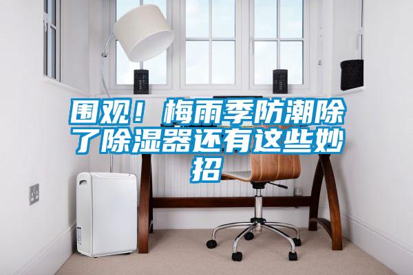 圍觀！梅雨季防潮除了除濕器還有這些妙招