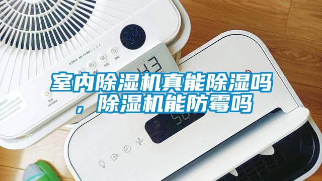 室內除濕機真能除濕嗎，除濕機能防霉嗎