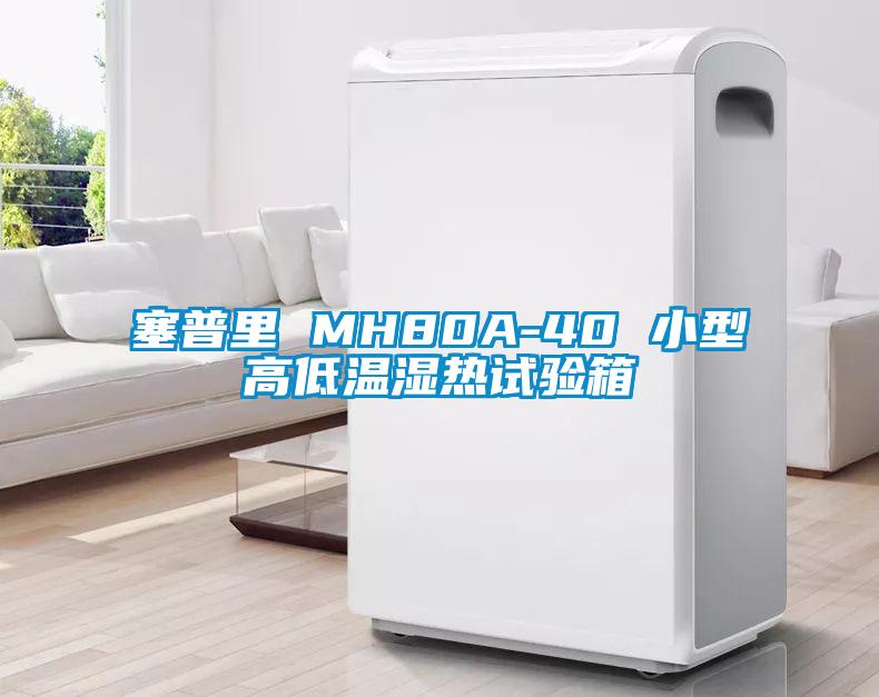 塞普里 MH80A-40 小型高低溫濕熱試驗(yàn)箱