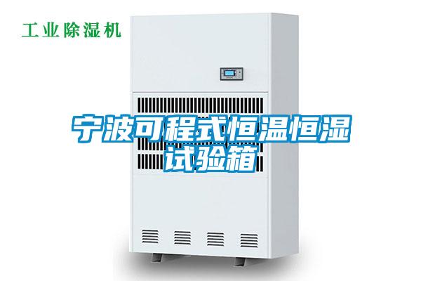 寧波可程式恒溫恒濕試驗(yàn)箱