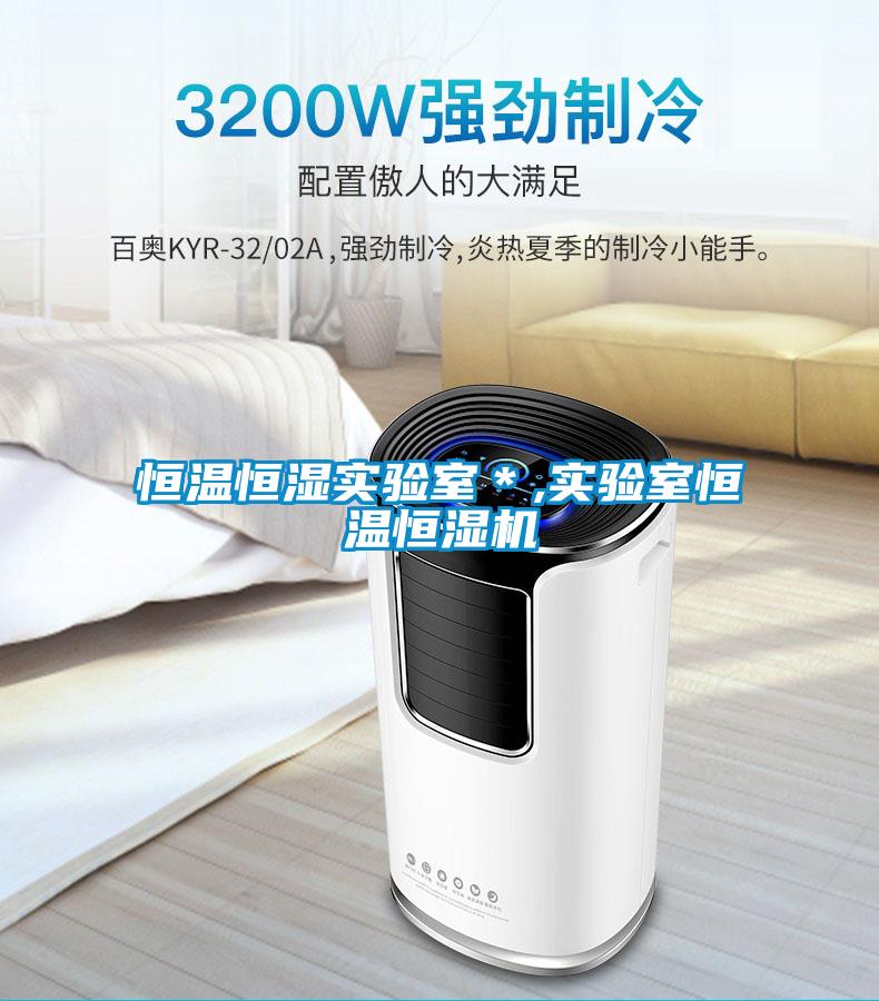 恒溫恒濕實(shí)驗(yàn)室＊,實(shí)驗(yàn)室恒溫恒濕機(jī)