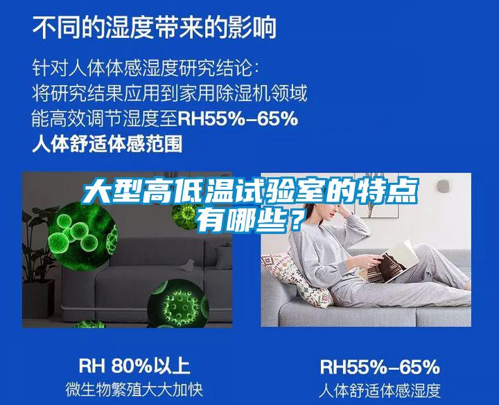 大型高低溫試驗室的特點有哪些？