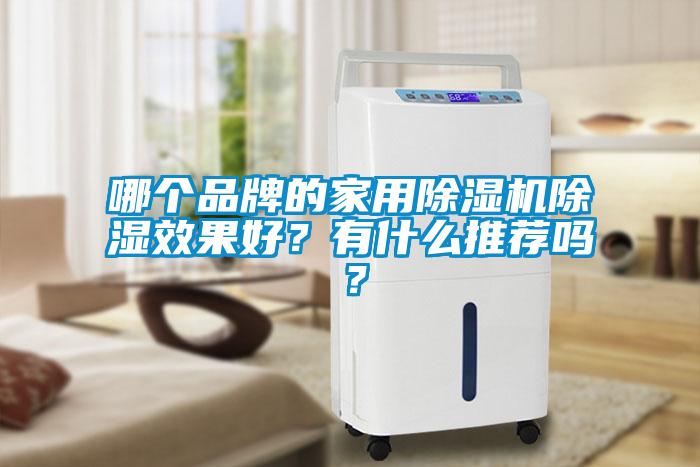 哪個品牌的家用除濕機除濕效果好？有什么推薦嗎？