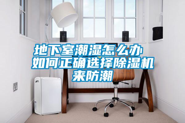 地下室潮濕怎么辦 如何正確選擇除濕機(jī)來(lái)防潮