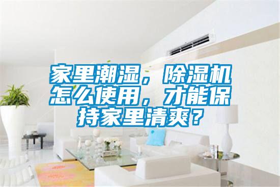 家里潮濕，除濕機(jī)怎么使用，才能保持家里清爽？