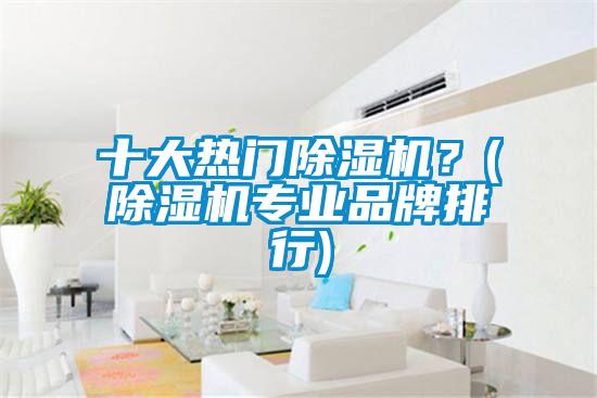 十大熱門除濕機(jī)？(除濕機(jī)專業(yè)品牌排行)